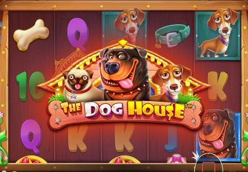 Microgaming - игровой автомат онлайн от Various с RTP 96.03%